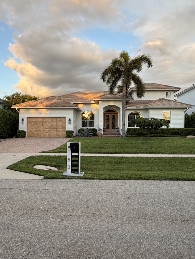Front lawn and palm